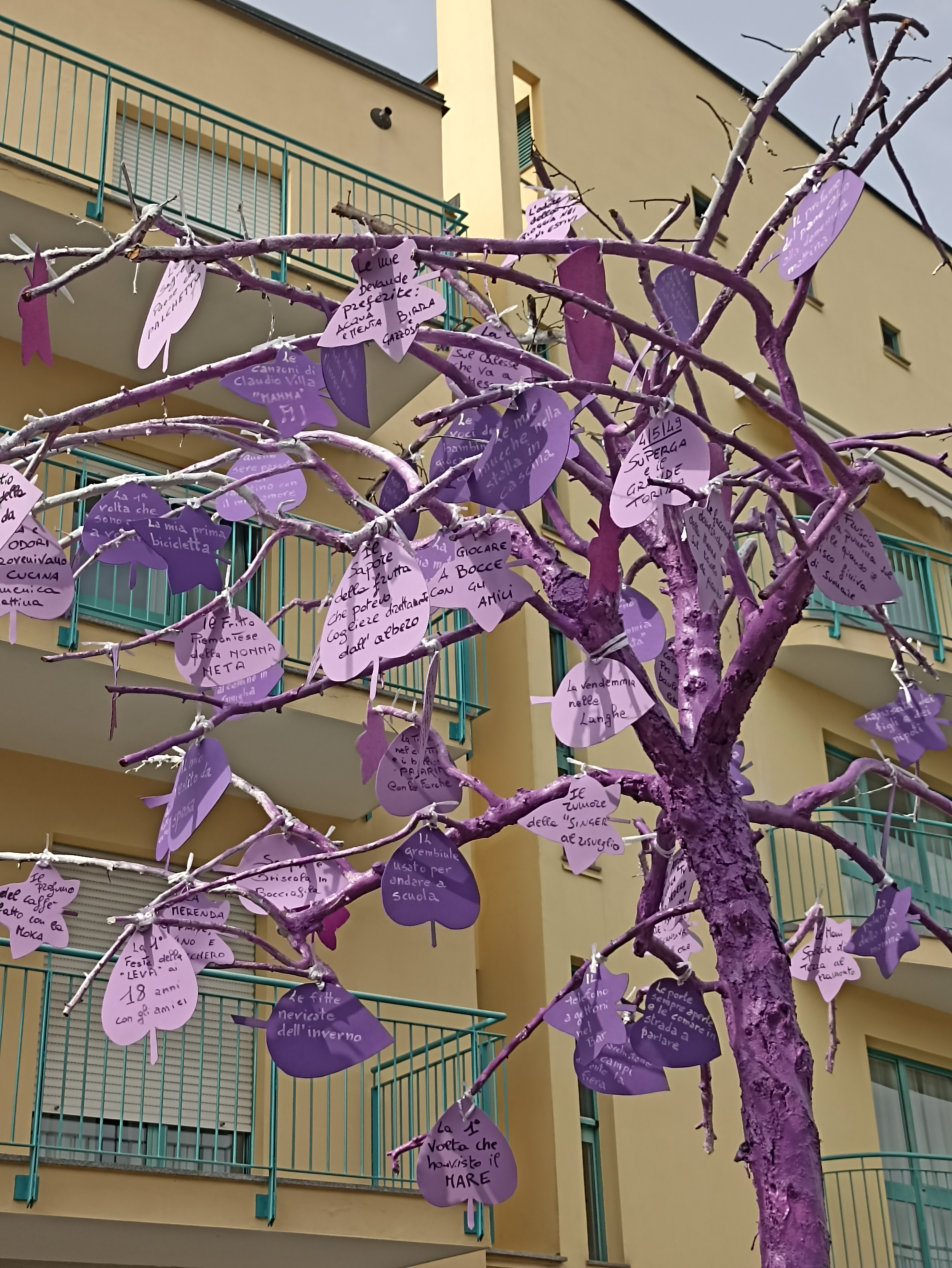 L'albero delle emozione nella Rsa di Santena (Torino) Foto Kos