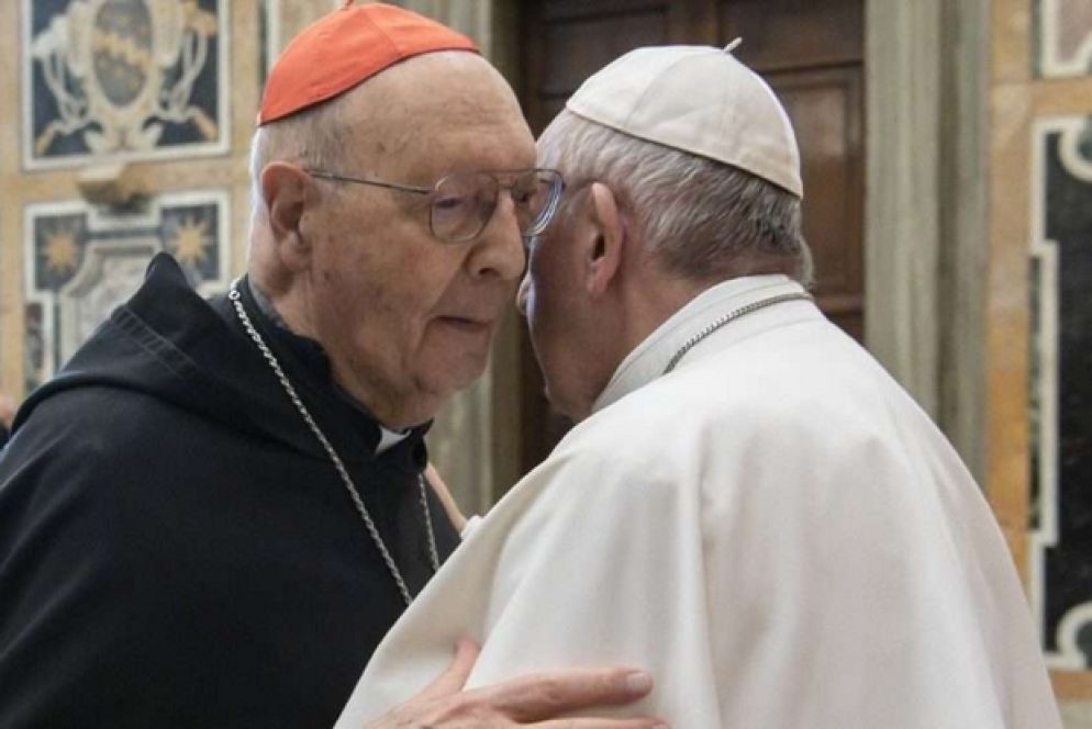 Un recente incontro in Vaticano tra il cardinale Grech e papa Francesco - Vatican Media