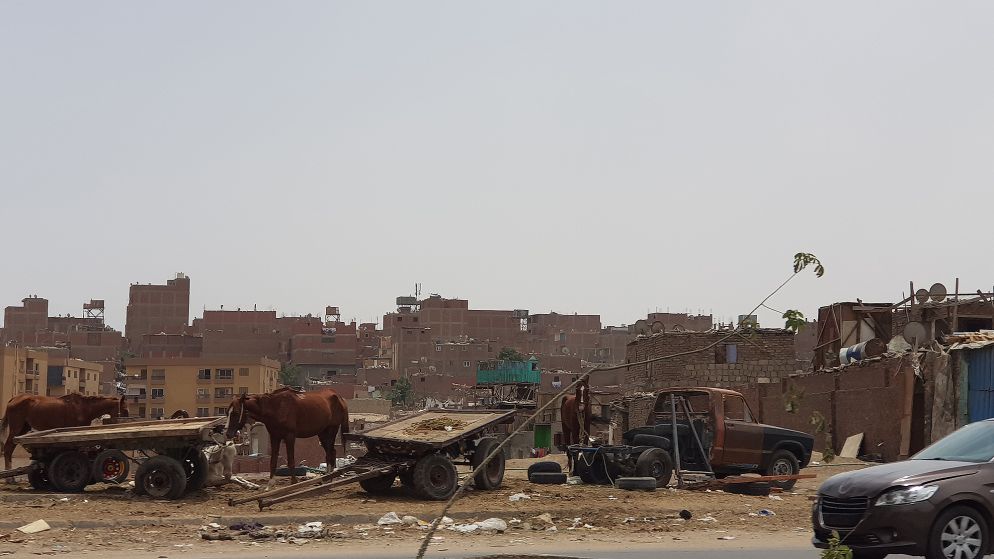 Alla periferia del Cairo, di ritorno dall'area copta (Raul Gabriel)
