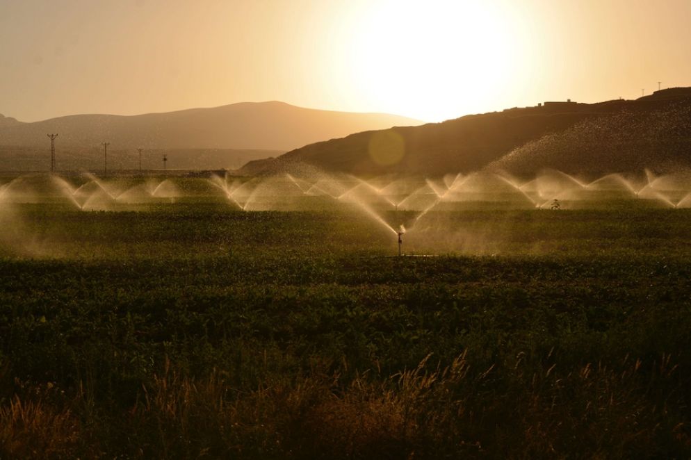 Campi irrigati - Süleyman Şahan via Pexels
