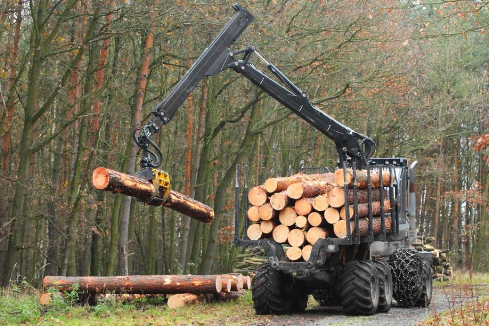 Un carico di legname pronto per la vendita - Tir Europe