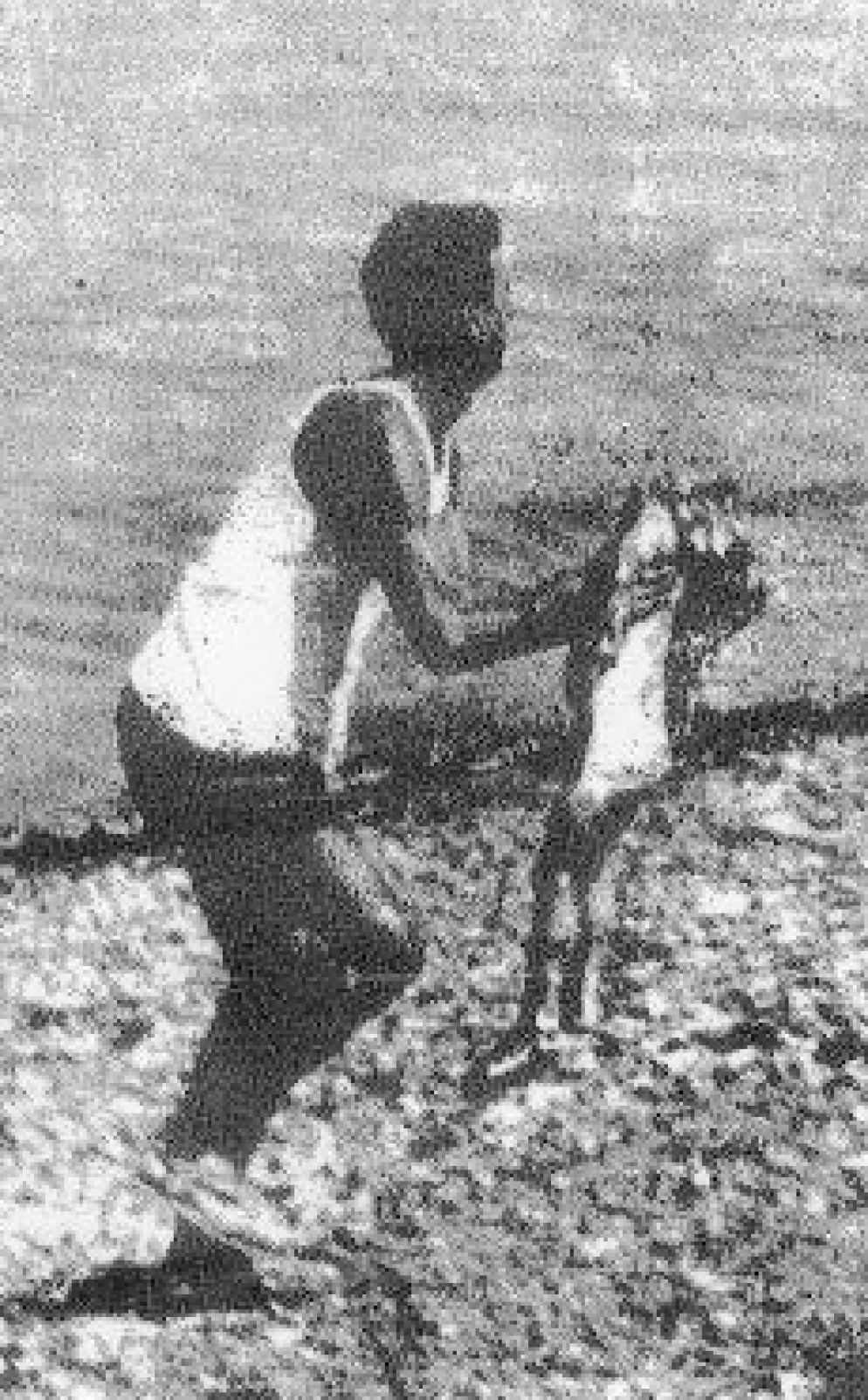Una celebre immagine di una piccola vittima raccolta sulla spiaggia di Vergarolla dopo l'attentato - Archivio