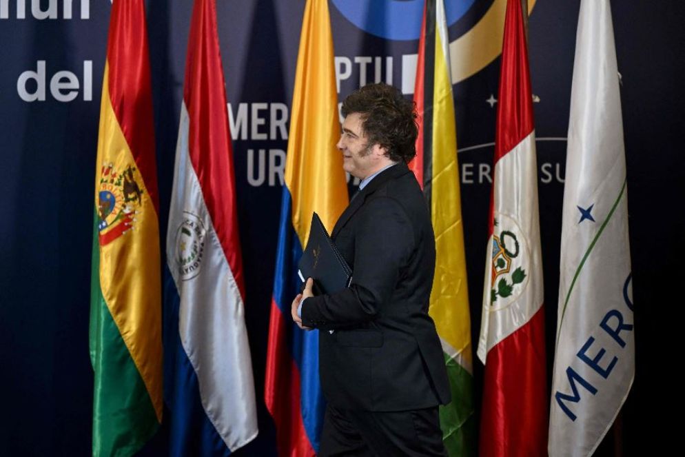 Il presidente dell'Argentina, Milei - ANSA