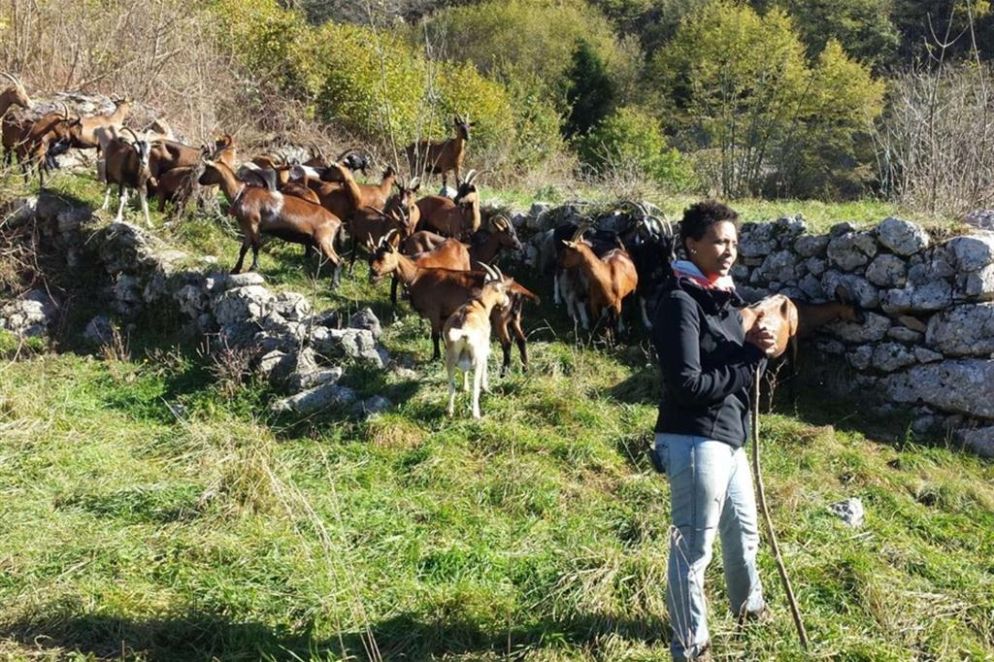Agitu Ideo Gudeta, pastora di 42 anni originaria dell'Etiopia, nota con il soprannome di «Regina delle capre felici» è stata uccisa nella sua abitazione di Frassilongo in Val dei Mocheni in Trentino - Mira