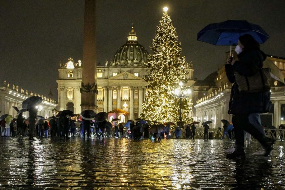 L'albero di Natale in piazza San Pietro - Ansa