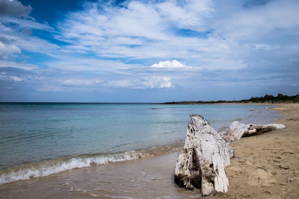 La spiaggia di Torre Guaceto, una delle aree che saranno protette da Blue Marine Foundation con l'aiuto di Ubs Optimus Foundation - Flickr CC