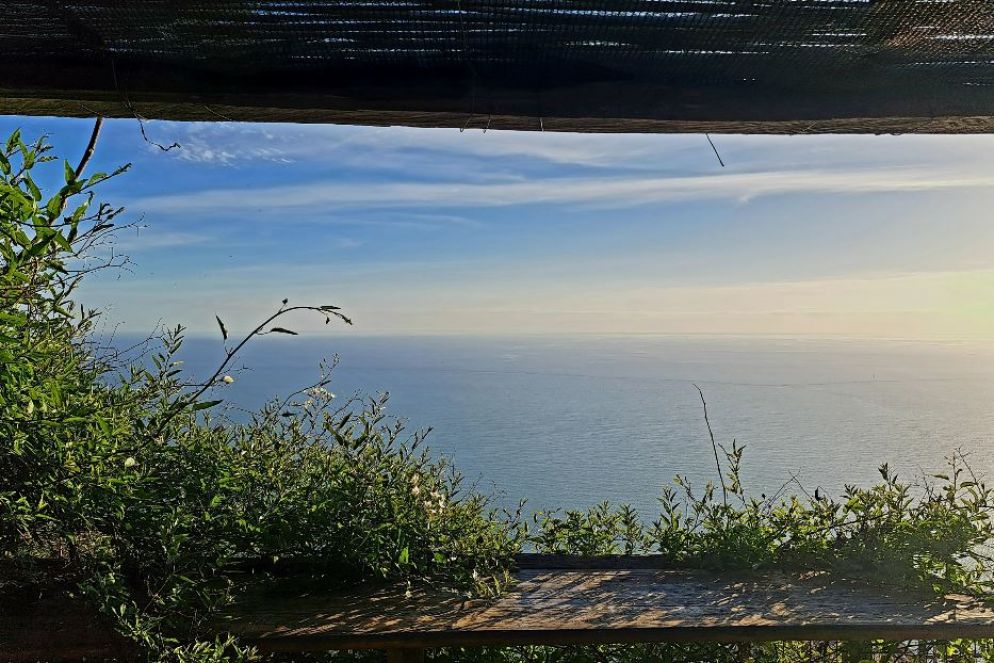 La finestra sul mare dal museo del vino di Capellini - Giuseppe Matarazzo