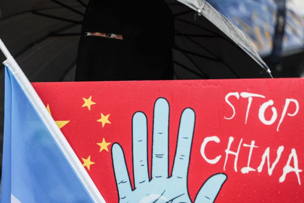 Una protesta a difesa dei diritti umani nello Xinjiang a Istanbul - ansa