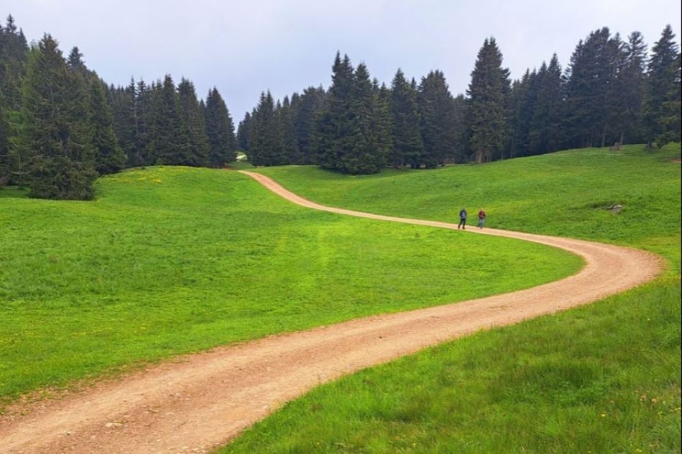 Lungo il Sentiero della fede sul monte San Vigilio - G.Matarazzo