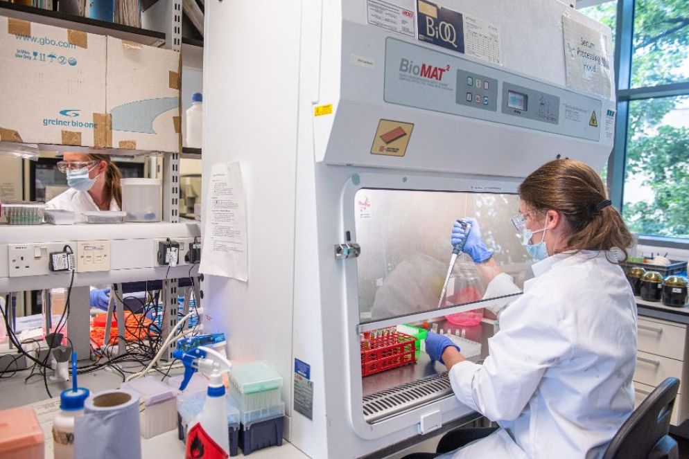 La ricerca sta fornendo nuove ed efficaci cure contro il cancro - .