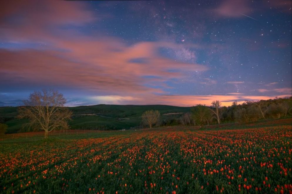 La Via Lattea fra le nuvole sopra il campo di tulipani selvatici di Blufi, Sicilia - @ Dario Giannobile