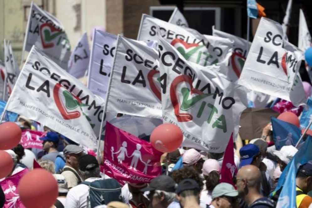 Bandiere alla Manifestazione per la Vita - Ansa