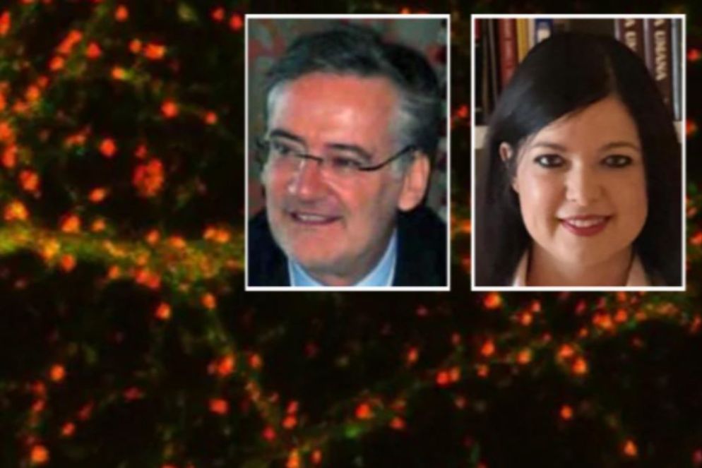 Nei riquadri, gli autori della scoperta: Innocenzo Rainero ed Elisa Rubino - Ansa