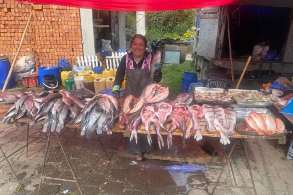 Una donna al lavoro a Salinas - P.V.
