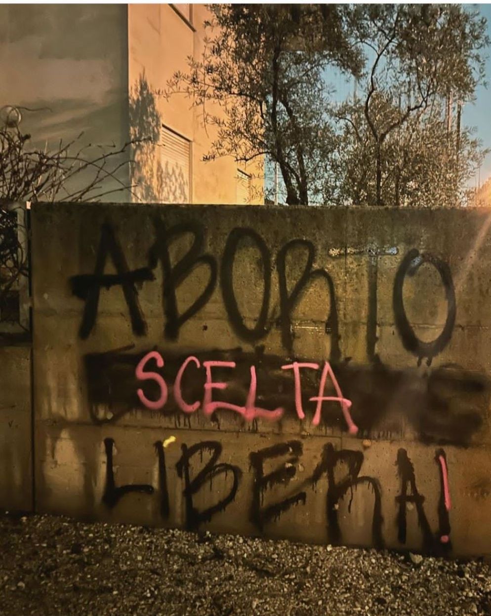 Le scritte nei pressi della sede del Cav - undefined