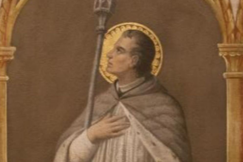 Un'immagine di san Bernardo - undefined