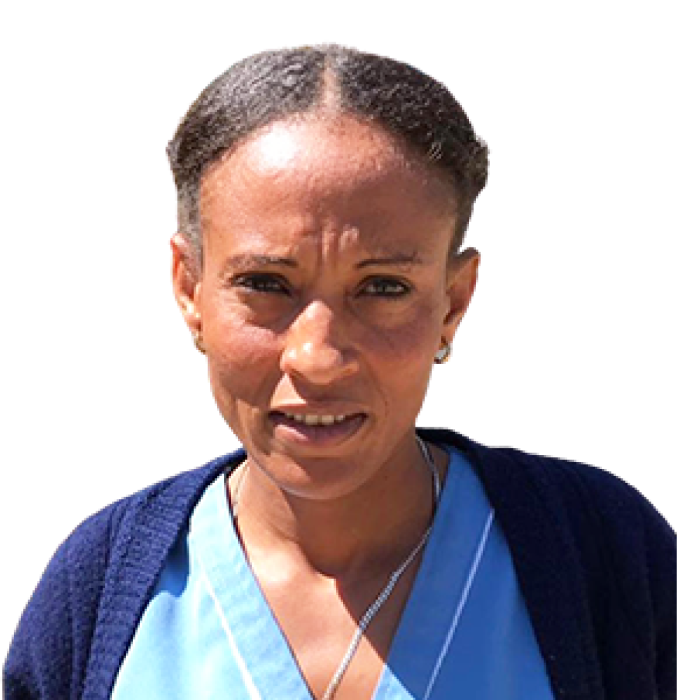Mulu Mefsin - .