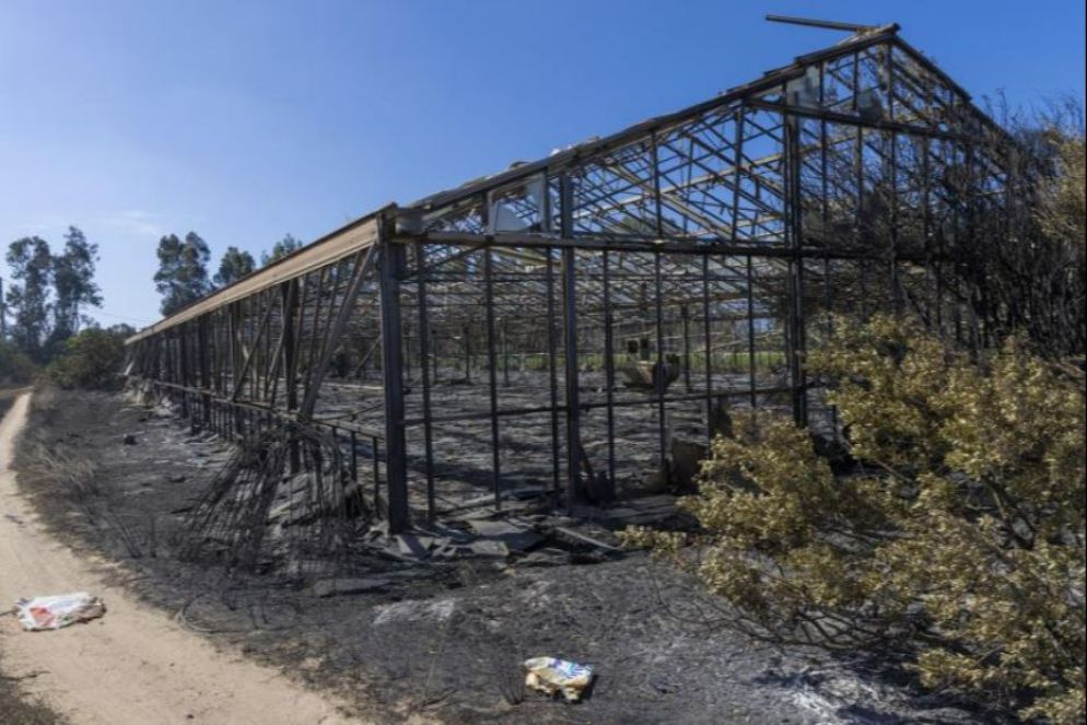 La natura dolosa è stata accertata dalla Forestale per alcuni roghi divampati nel sud dell'isola e nel Nuorese: sono stati trovati gli inneschi che testimoniano l'azione volontaria da parte, finora, di ignoti - ANSA