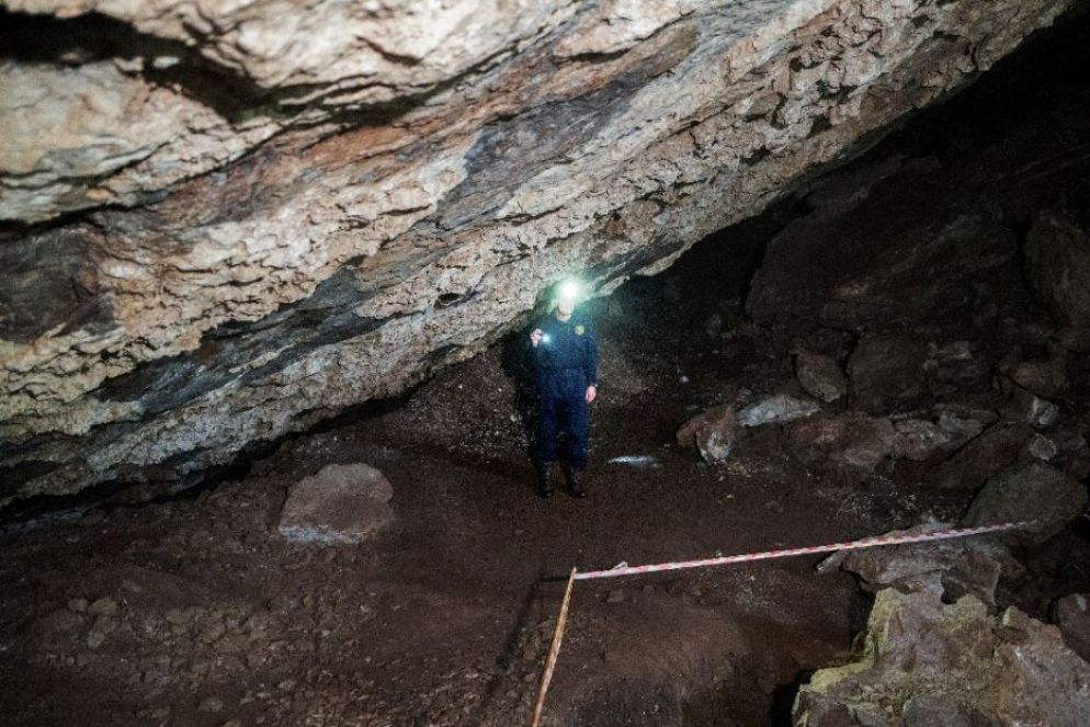 I lavori all’interno della grotta - BioRxiv