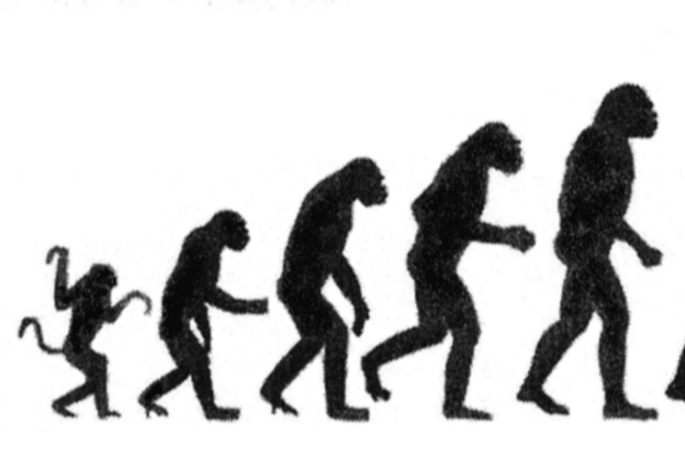 l'evoluzione dell'uomo - WikiCommons