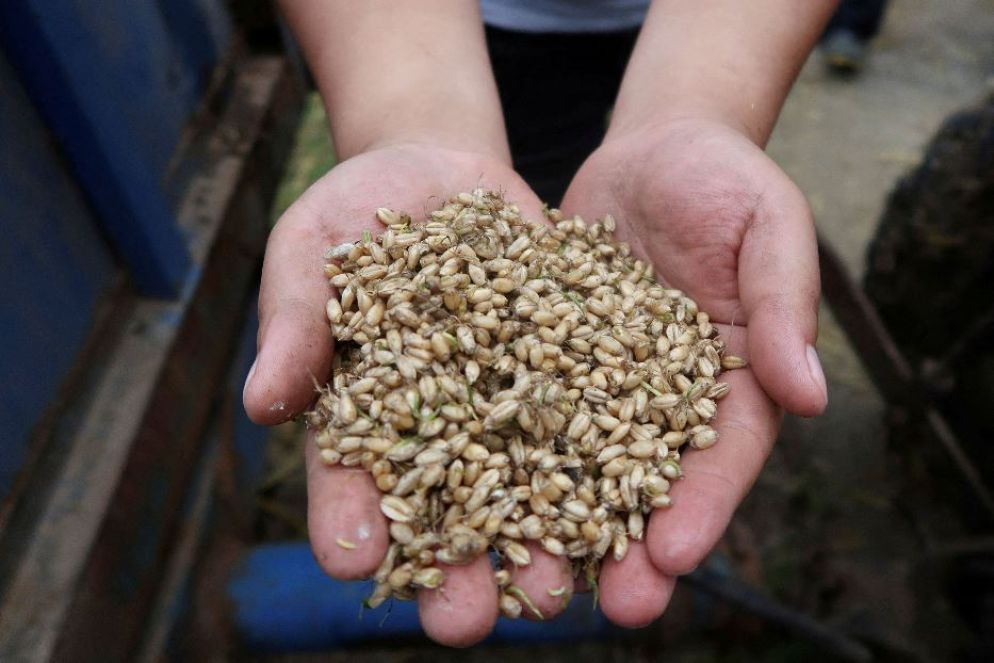 La Cina è il più grande produttore e importatore agricolo al mondo - REUTERS