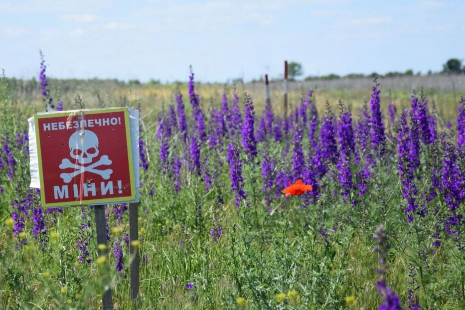 undefined - undefined