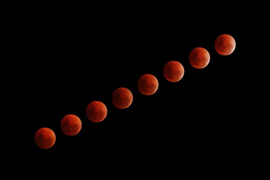 Le fasi dell'eclissi che "colora" la Luna in "rosso sangue" - Jordan Opel/Unsplash