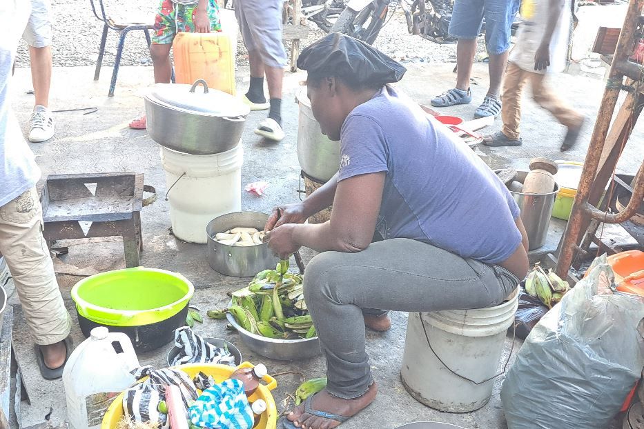 Il campo profughi allestito nell'ex liceo Merie Janne