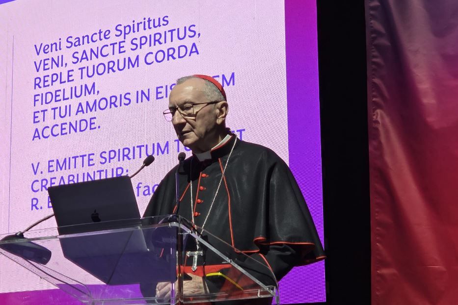 Il cardinale Parolin si rivolge ai missionari digitali cattolici - D.Imeneo