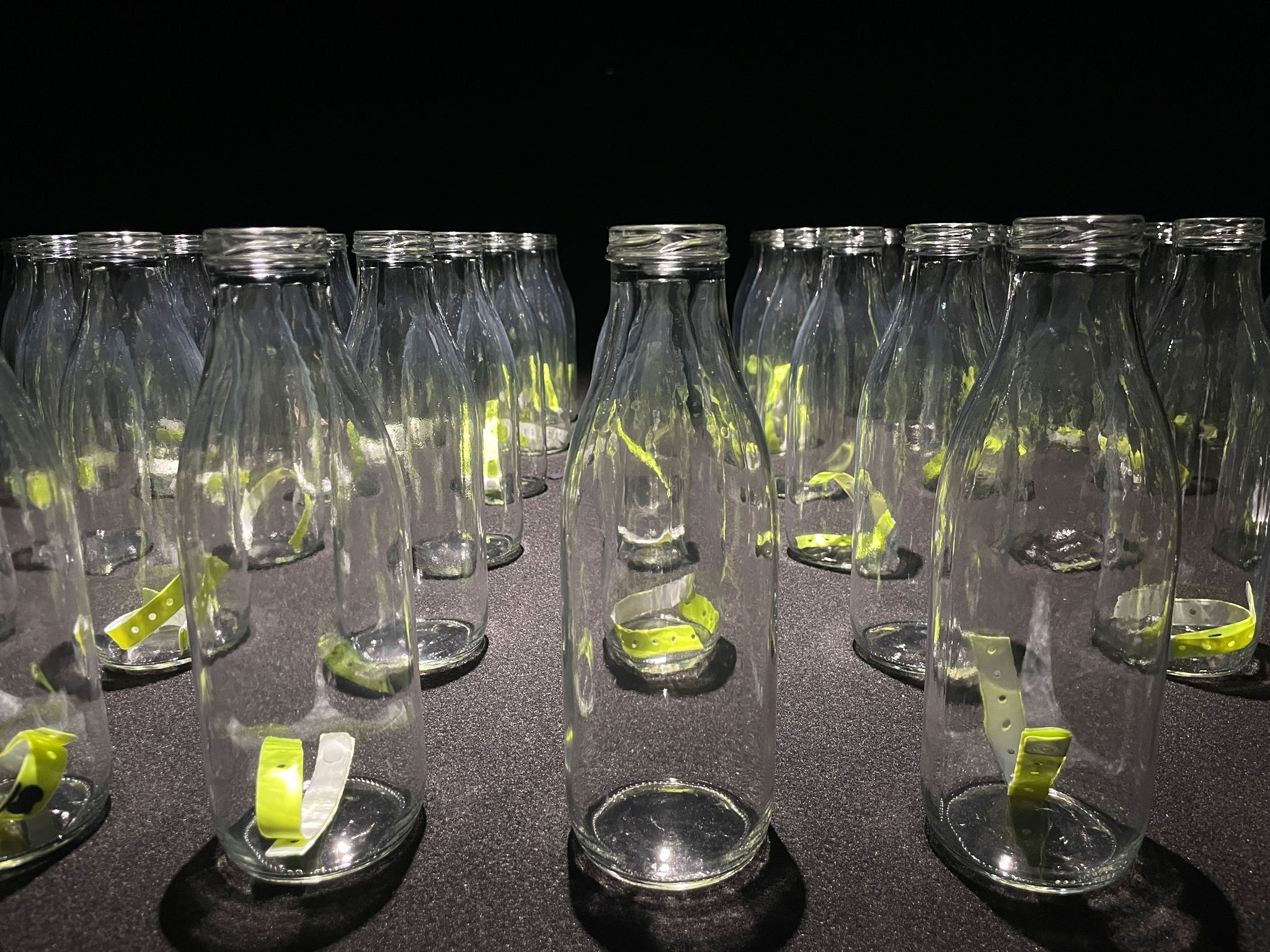 I braccialetti dei naufraghi soccorsi come messaggi in bottiglia - Sarah Makharine