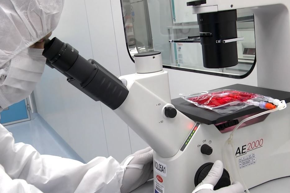 La preparazione delle cellule Car-T in laboratorio - .