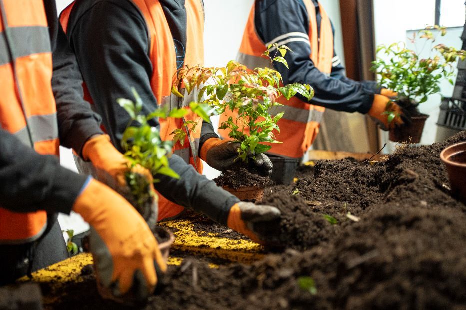 undefined - Monti Stefano