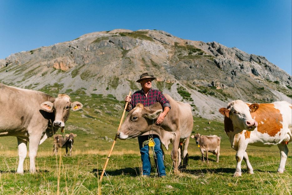 APF Valtellina - Turismo rurale, malga - Valtellina, turismo rurale, malga