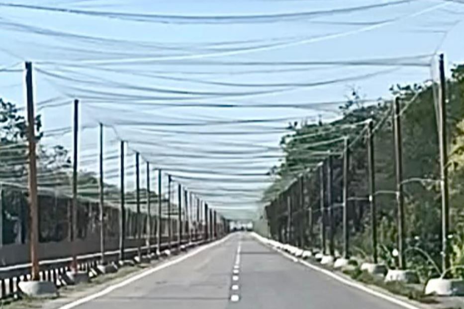 Le reti stese in un villaggio nella regione di Kherson - N.S.