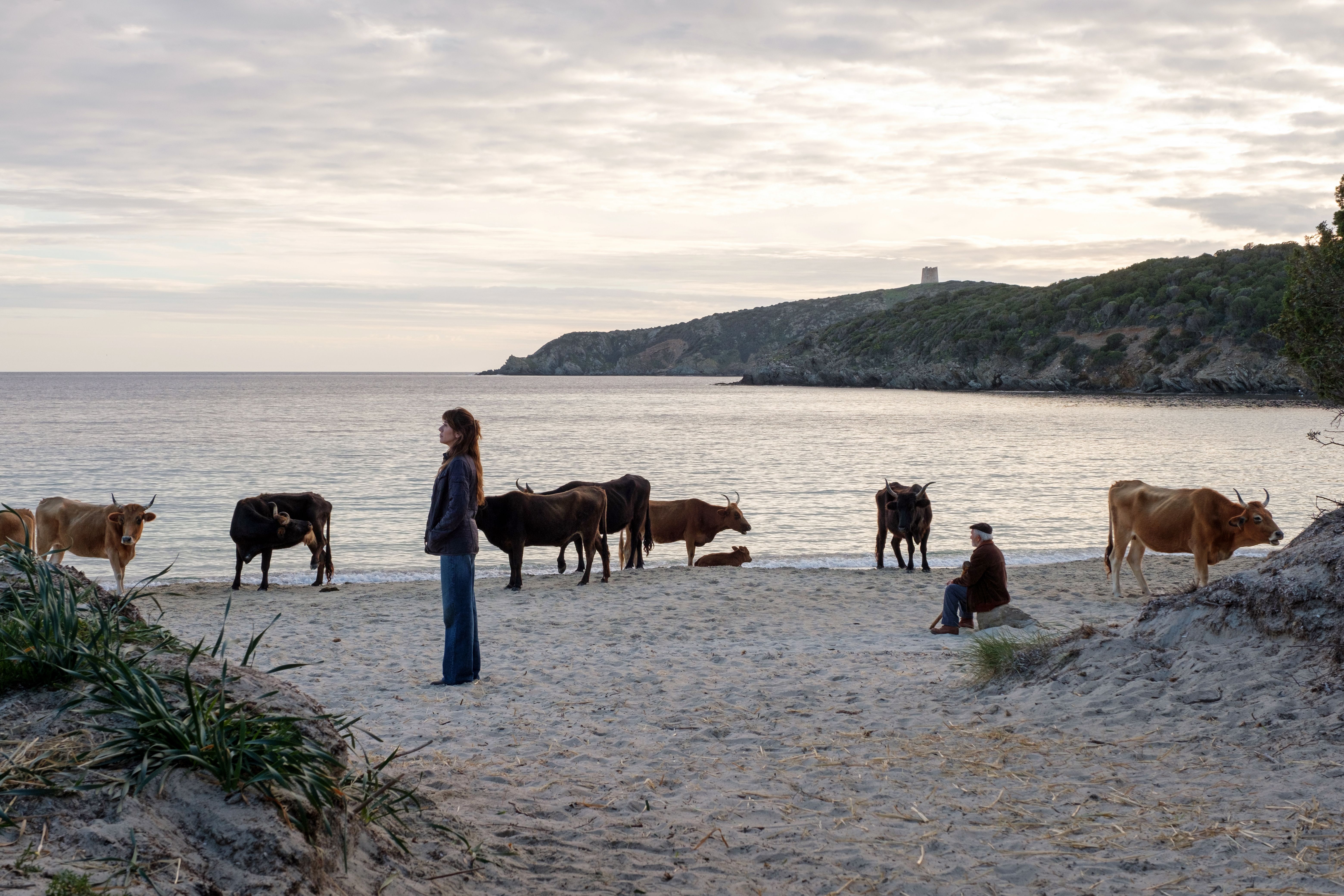 Una scena del film di Riccardo Milano "La vita va così" con Virginia Raffaele e Ignazio Loi @ Claudio Iannone