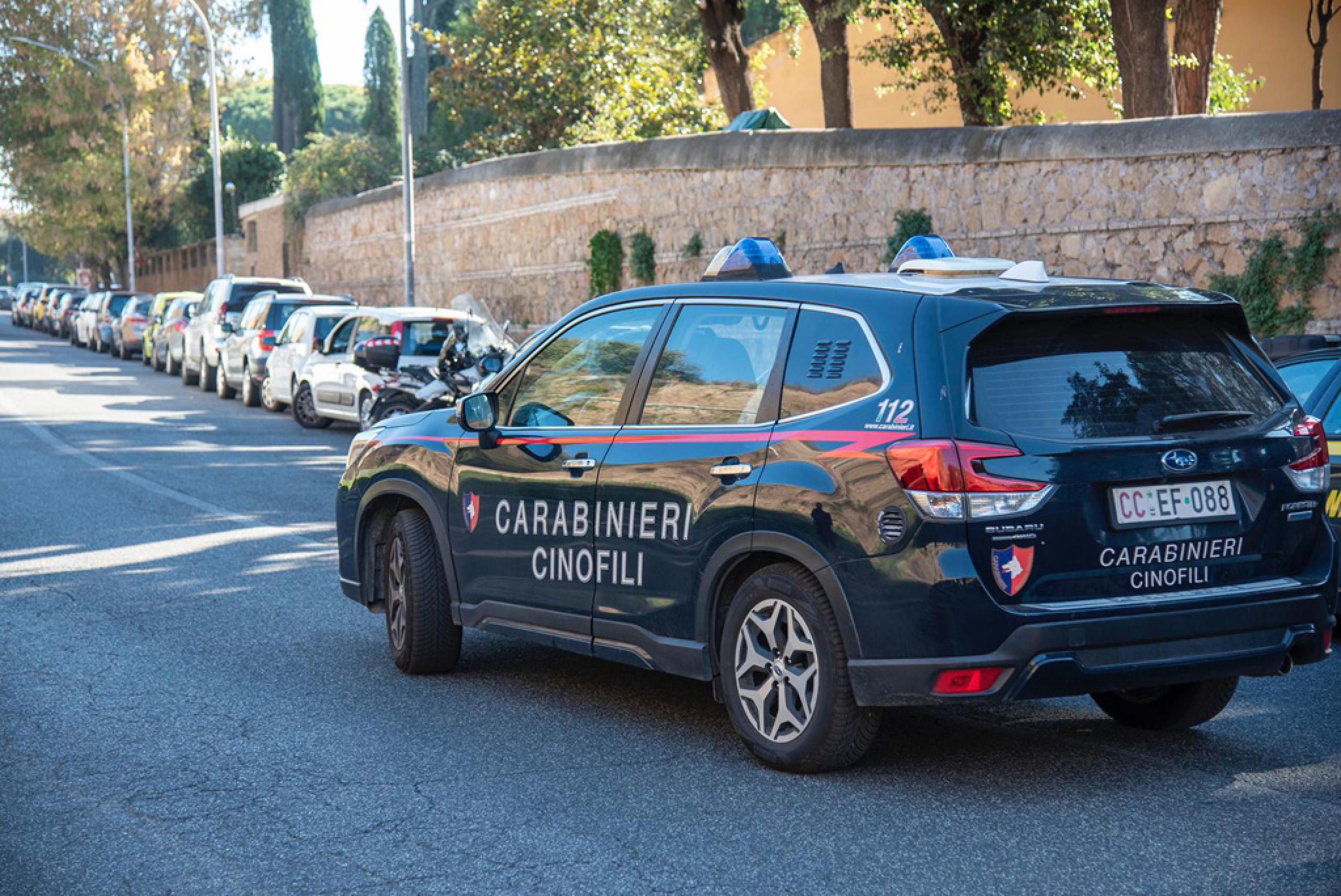 Il nucleo Cinofili dei Carabinieri/Ansa