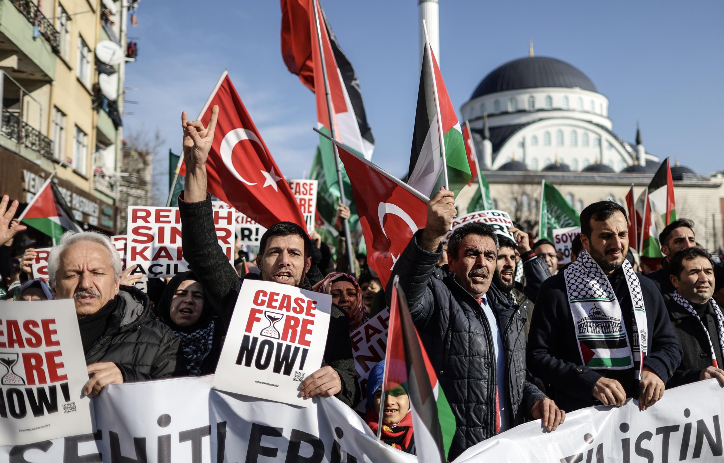 Una manifestazione a Istanbul per la Palestina / ANSA