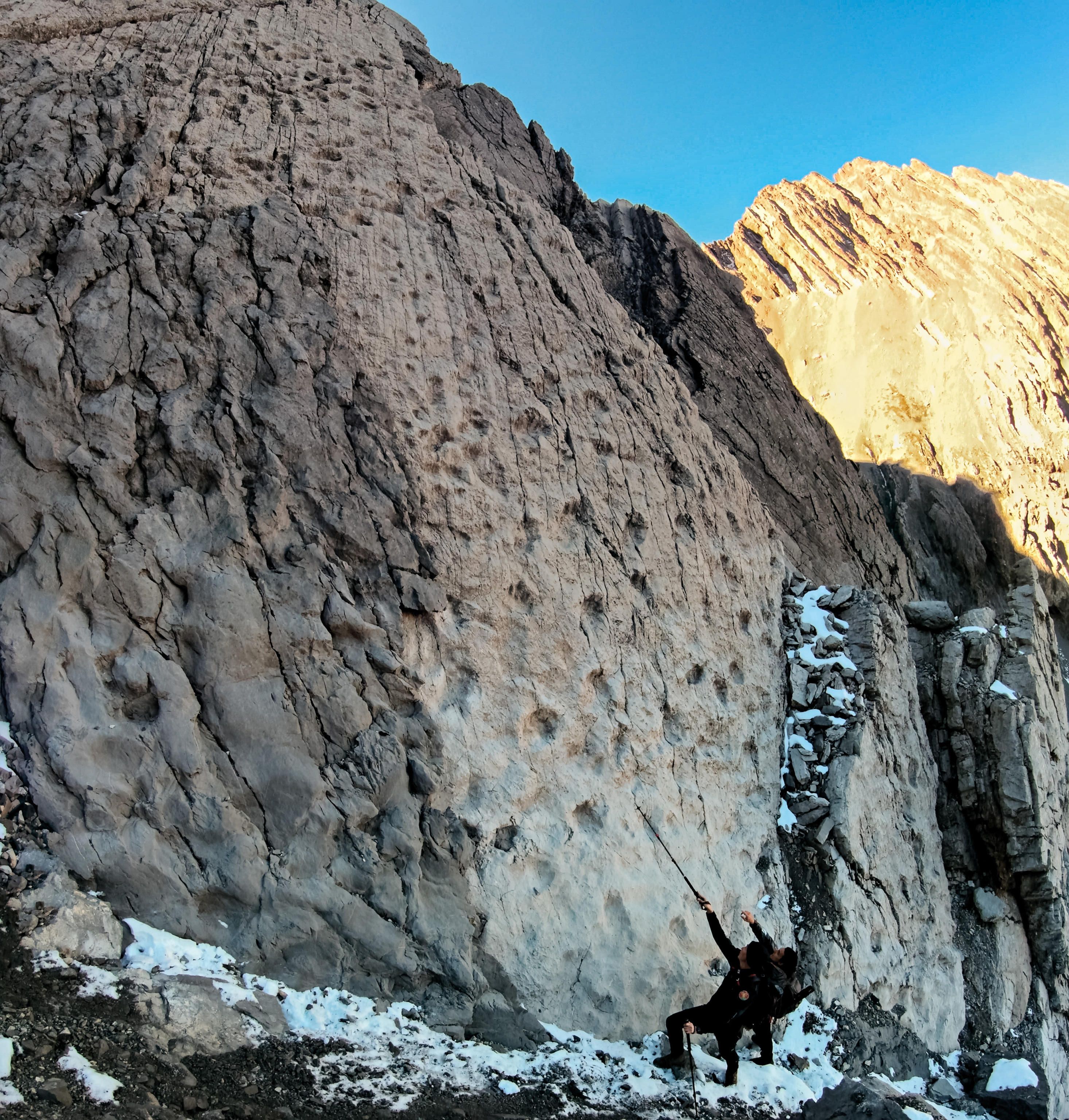 Orme di dinosauri risalenti al Triassico Superiore, fotografate nel nuovo sito paleontologico scoperto da Elio Della Ferrera. Valle di Fraele, Parco dello Stelvio, Sondrio. / ANSA / ELIO DELLA FERRERA / SOPRINTENDENZA ARCHEOLOGICA COMO, LECCO, SONDRIO E VARESE 