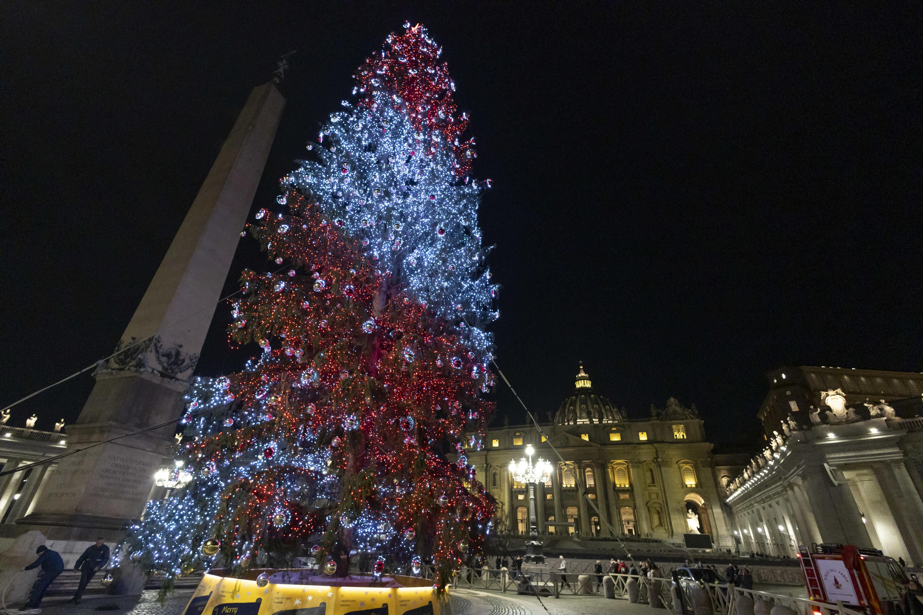 L'albero di Natale, proveniente dalla diocesi di Bolzano-Bressanone, in piazza San Pietro / ANSA