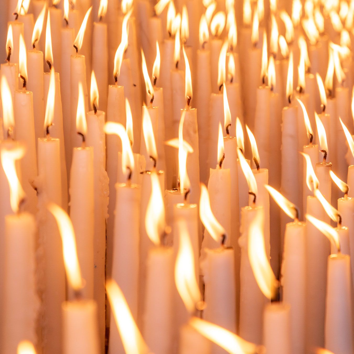 Candele accese a Lourdes davanti alla Grotta di Massabielle (foto dal profilo X del Santuario)