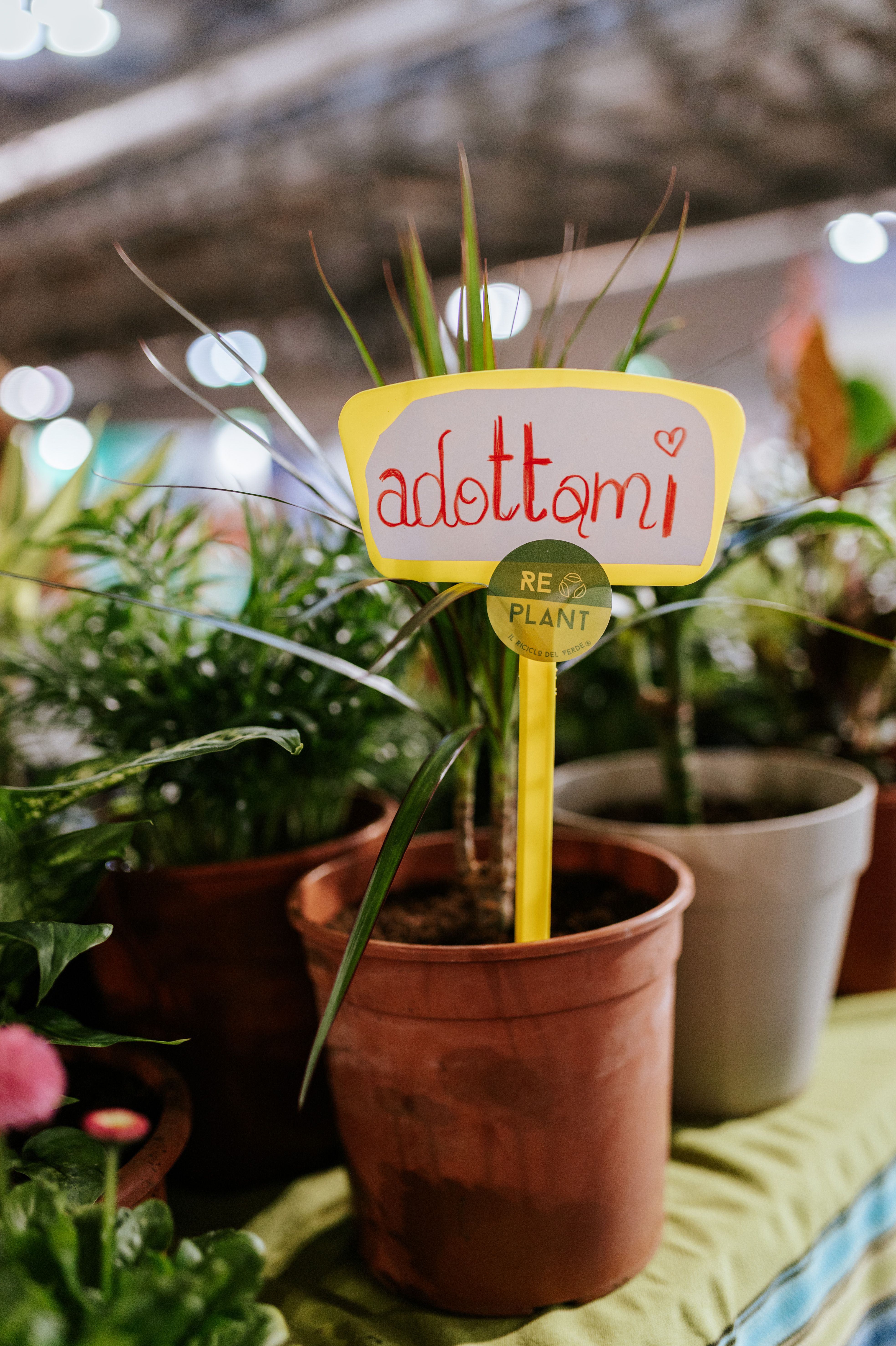 "Fa' la cosa giusta!" / Alessia Gatta