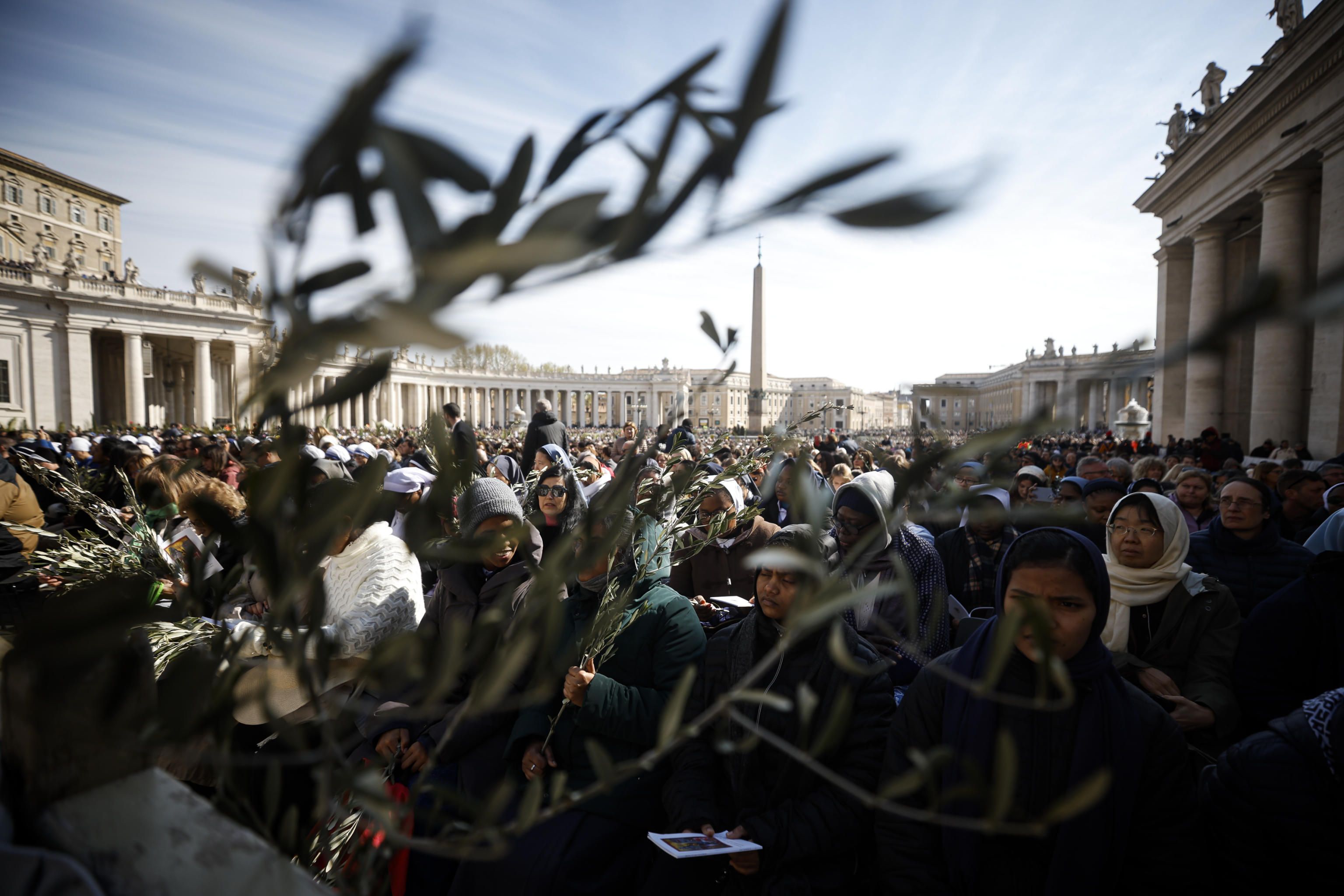 La Domenica delle Palme in piazza San Pietro / ANSA