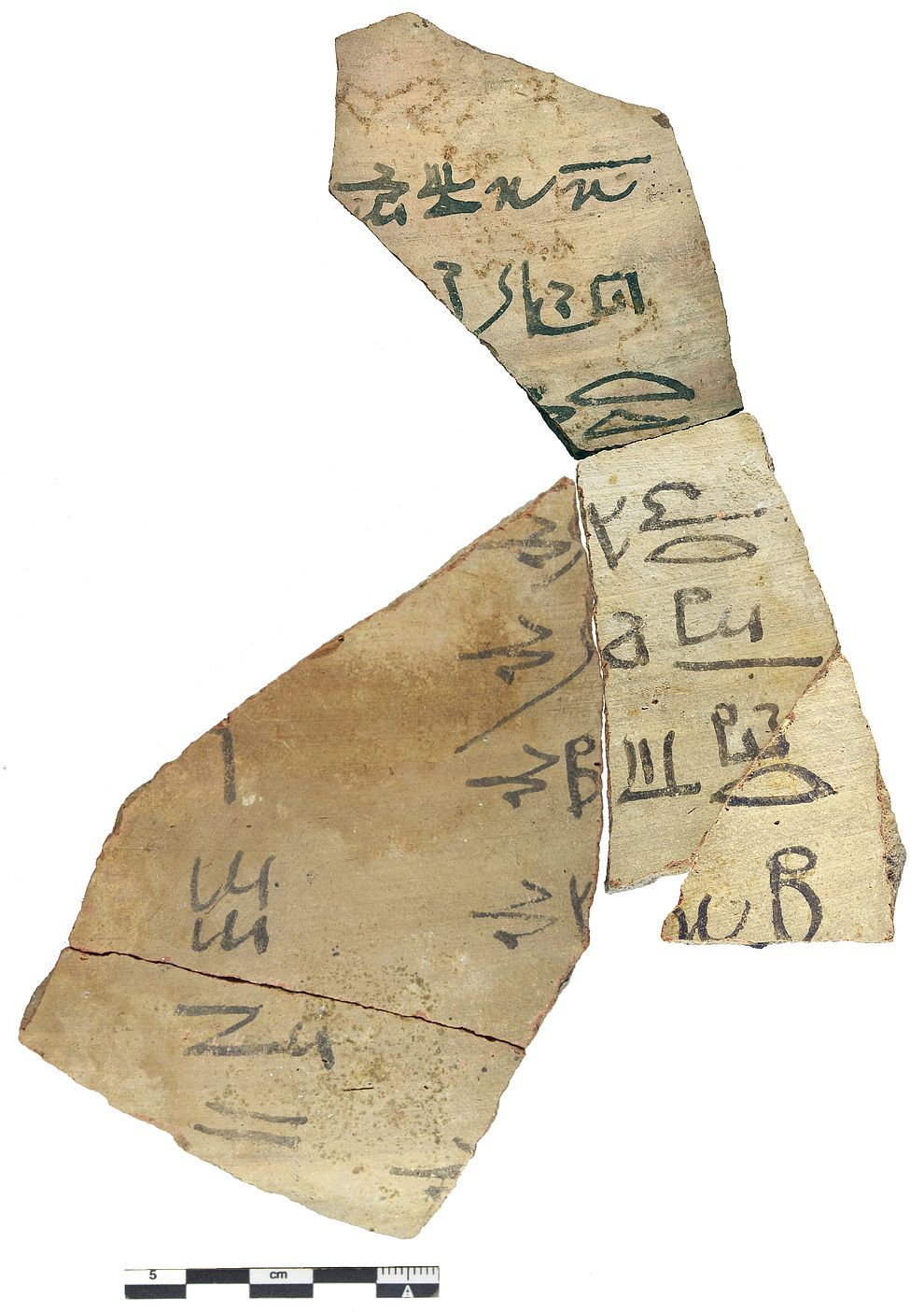 Testo scolastico ieratico / Tübingen Athribis Project