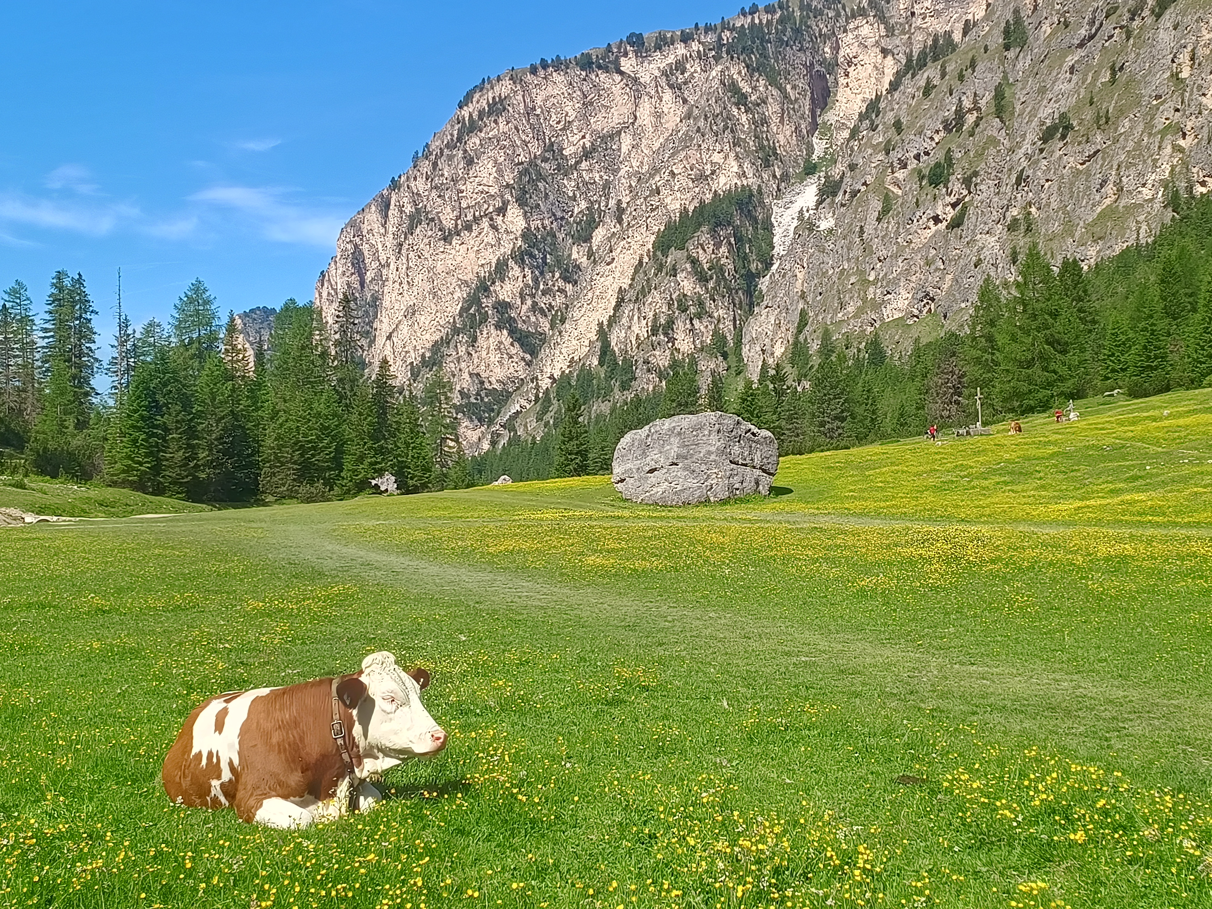 Un decalogo con l'obbiettivo di salvaguardare la montagna