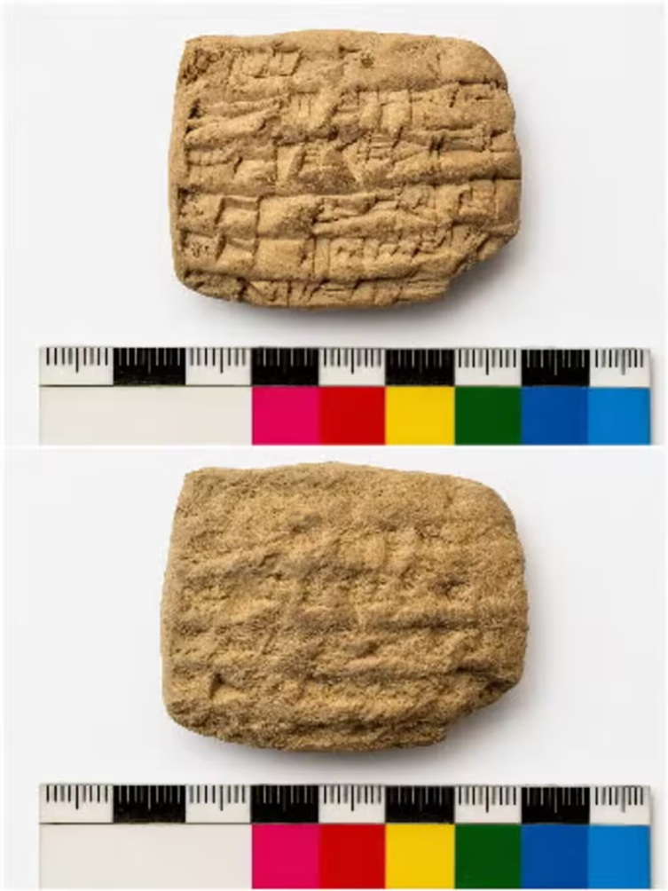 Una tavoletta cuneiforme proveniente dal palazzo della Città Bassa Est è mostrata prima e dopo un restauro professionale. La tavoletta fa parte di un gruppo di testi amministrativi scoperti durante gli scavi a Kurd Qaburstan / Carmen Gütschow / Kurd Qaburstan Project