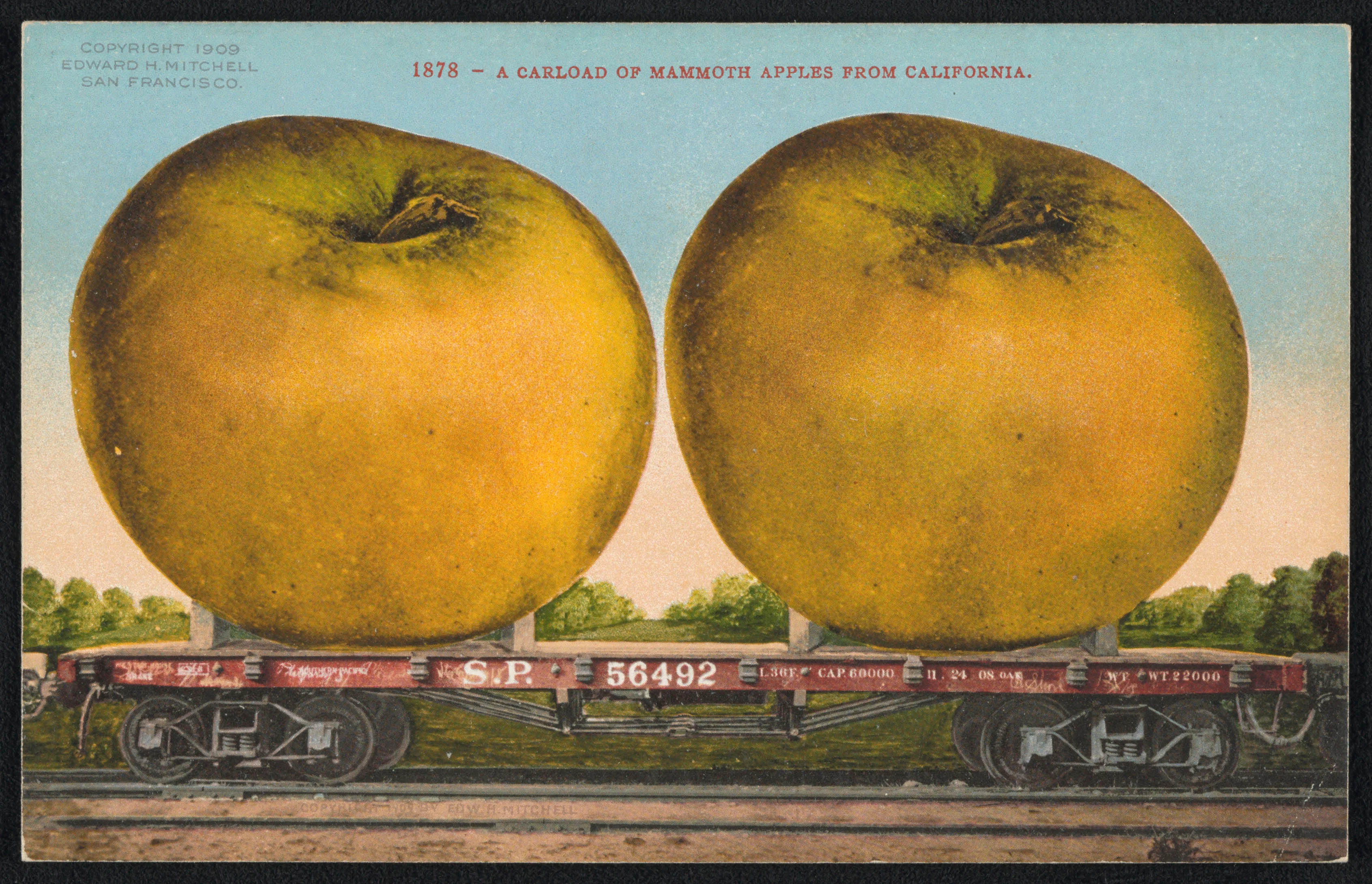 Una cartolina postale pubblicata nel 1909 dall’editore di San Francisco Edward H. Mitchell