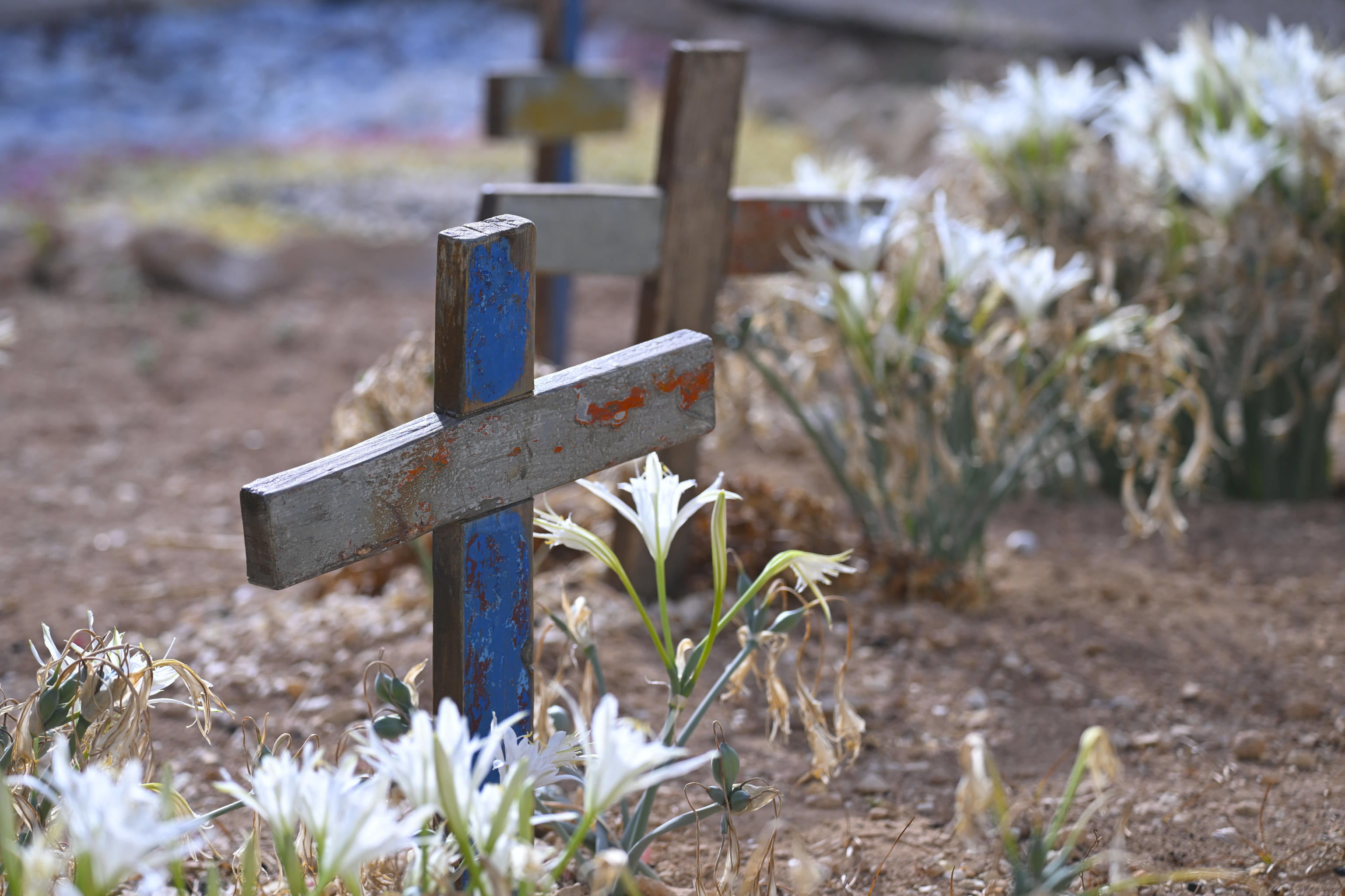 Nel cimitero di Lampedusa la sepoltura dei migranti morti nel Mediterraneo: le croci sono fatte con il legno dei barconi /&nbsp; ANSA