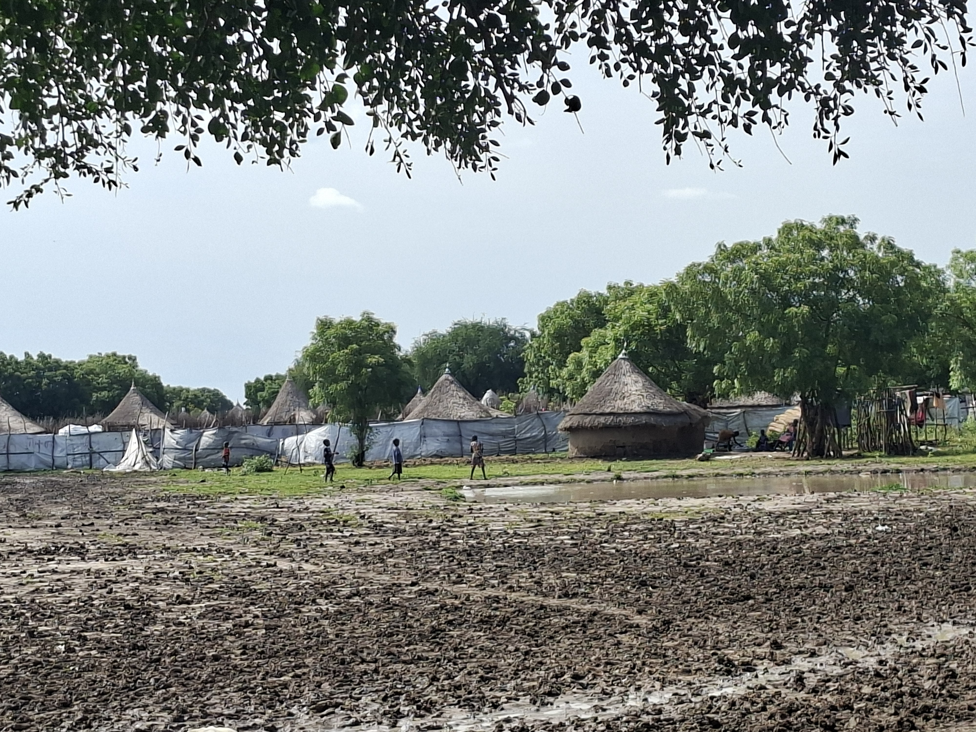 Gruppi di tukul, le tradizionali capanne circolari coperte da tetti di paglia