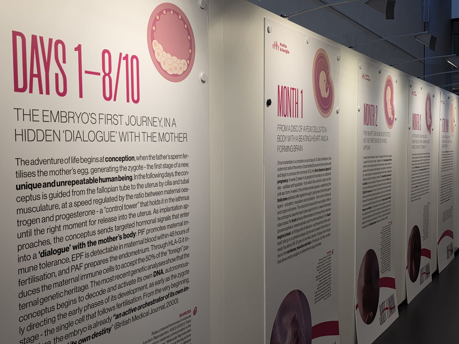 I pannelli della mostra (foto dal sito www.provitaefamiglia.it)