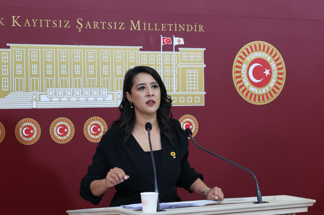 Sevda Karaca, 41 anni, giornalista e deputata del Emep, il Partito del Lavoro